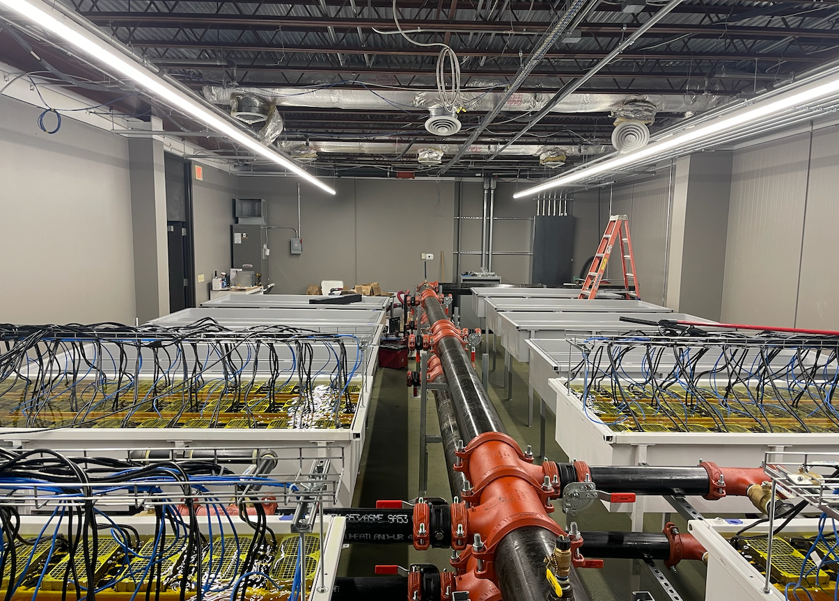 Image Title Alt Image